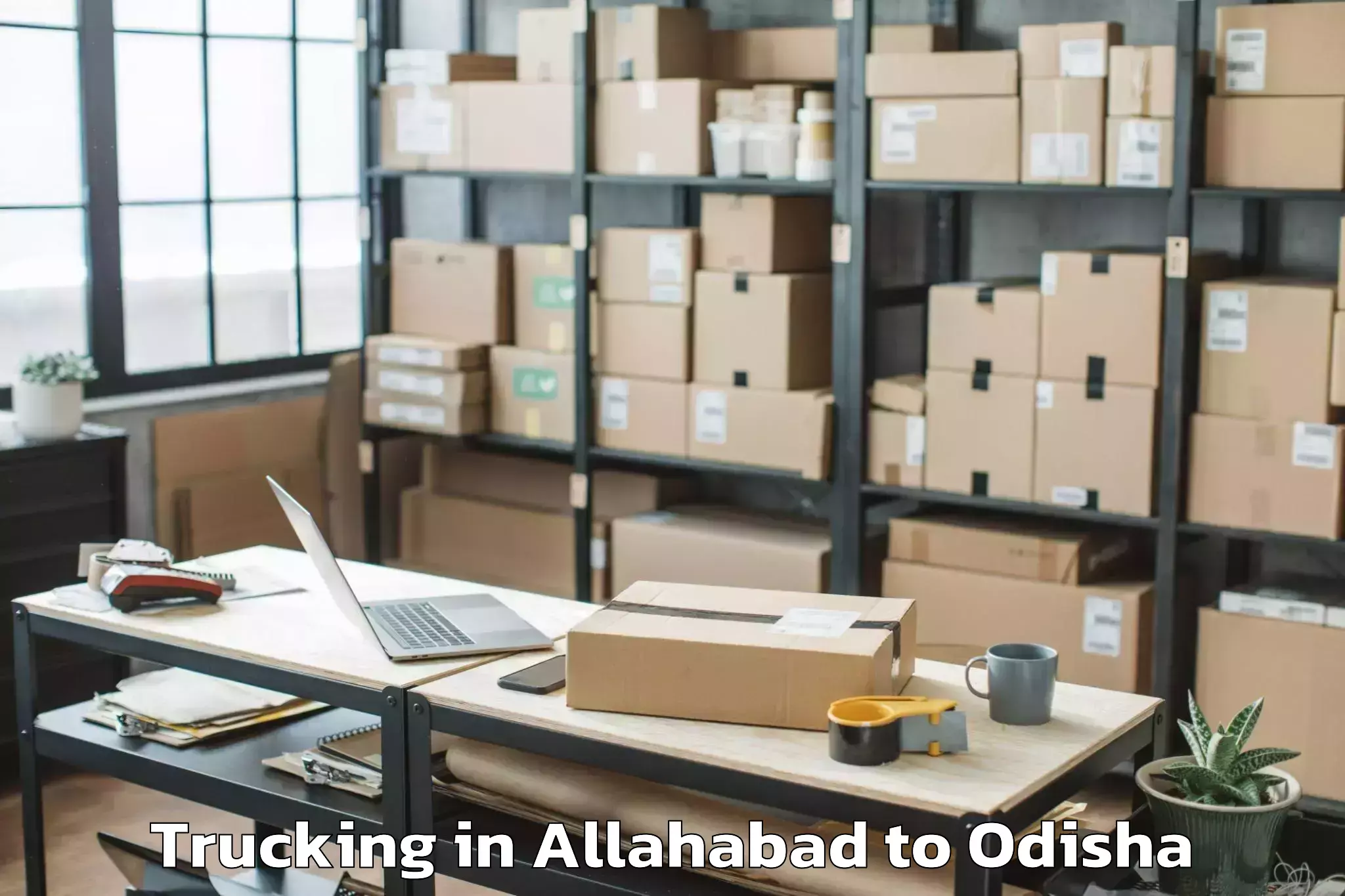 Professional Allahabad to Chikiti Trucking